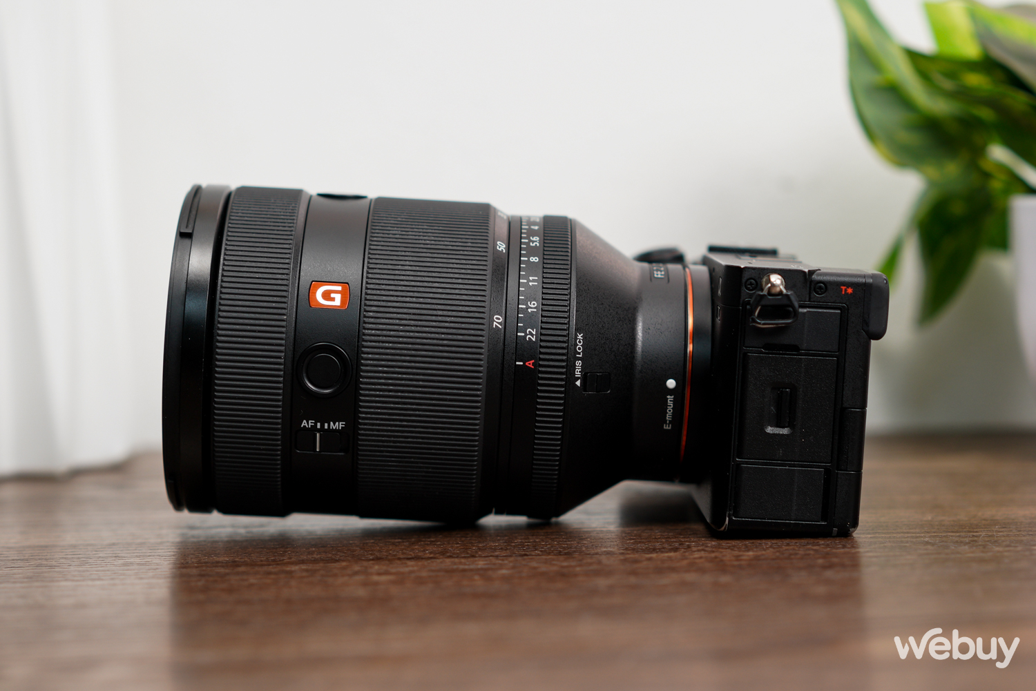 Máy ảnh Sony A7CR - Ảnh 5 Máy ảnh Sony A7CR - Ảnh 5
